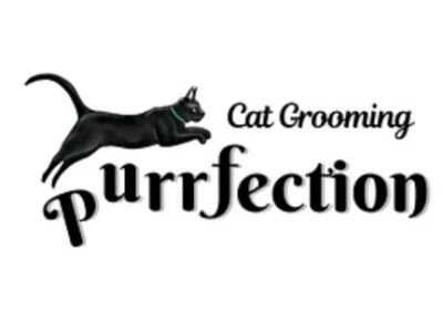 Cat Grooming Purrfection