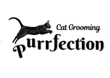 Cat Grooming Purrfection